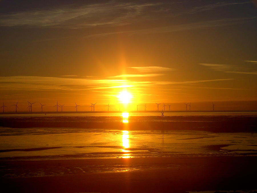 Golden Sunset over a Wind Farm 3 Photograph by Steve Kearns