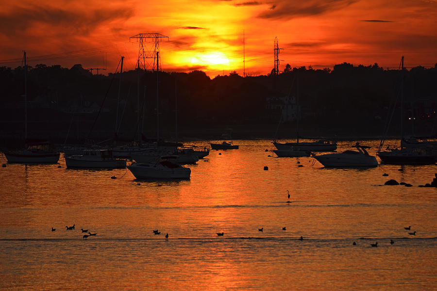Golden sunset over Salem Harbor Photograph by Toby McGuire