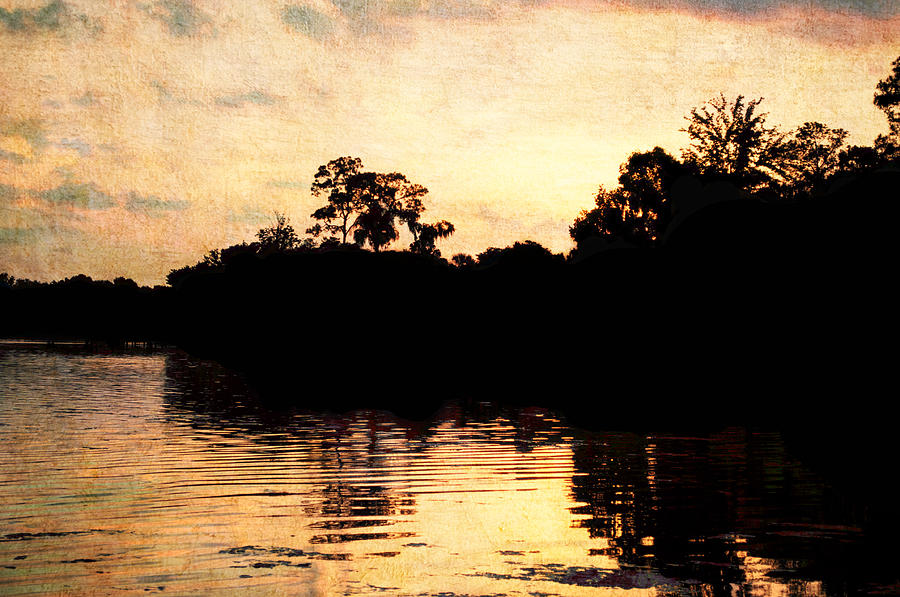 Florida Sunset Photograph - Golden Sunset by Randi Kuhne Florida Sunset Photograph - Golden Sunset by Randi Kuhne