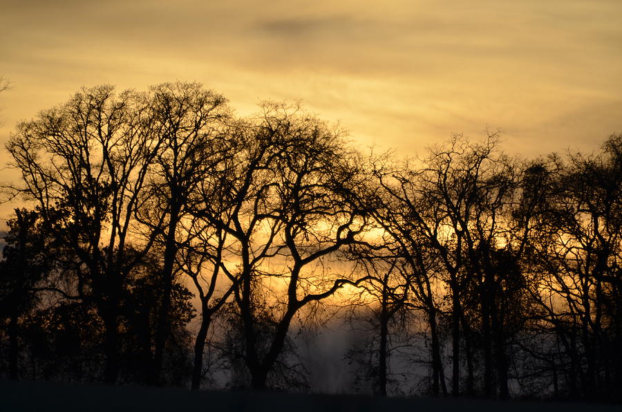 Golden Sunset Photograph by Ricardo J Ruiz de Porras