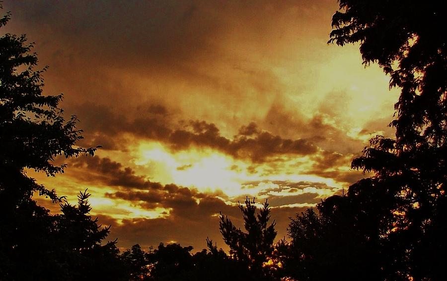 Golden Sunset Photograph by  Sharon Ackley