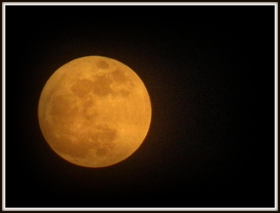 Cheese Photograph - Golden Super Moon by Kathy Barney