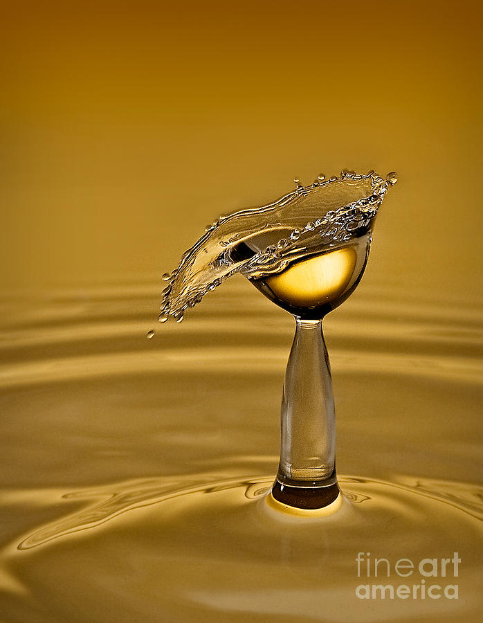 Abstract Photograph - Golden by Susan Candelario