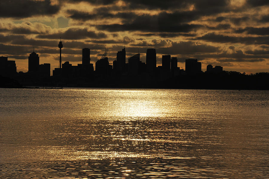 Golden Sydney Photograph by Harry Spitz