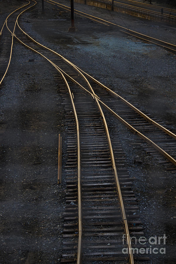 Transportation Photograph - Golden Tracks by Margie Hurwich