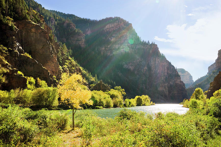 Golden Tree Next To The Colorado River Photograph by Leslie Parrott Golden Tree Next To The Colorado River Photograph by Leslie Parrott