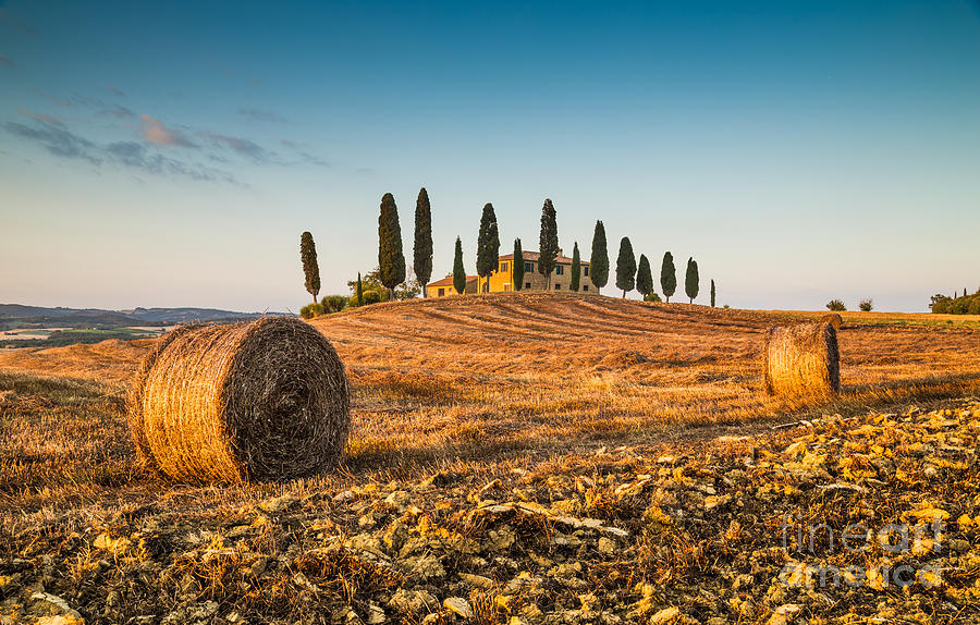 Golden Tuscany Photograph by JR Photography
