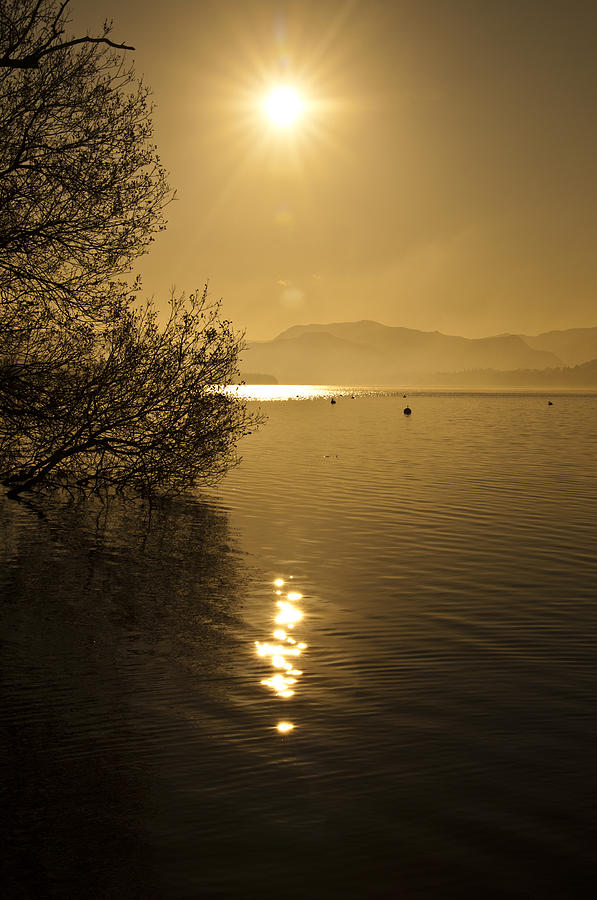 Golden Ullswater Evening Photograph by Meirion Matthias