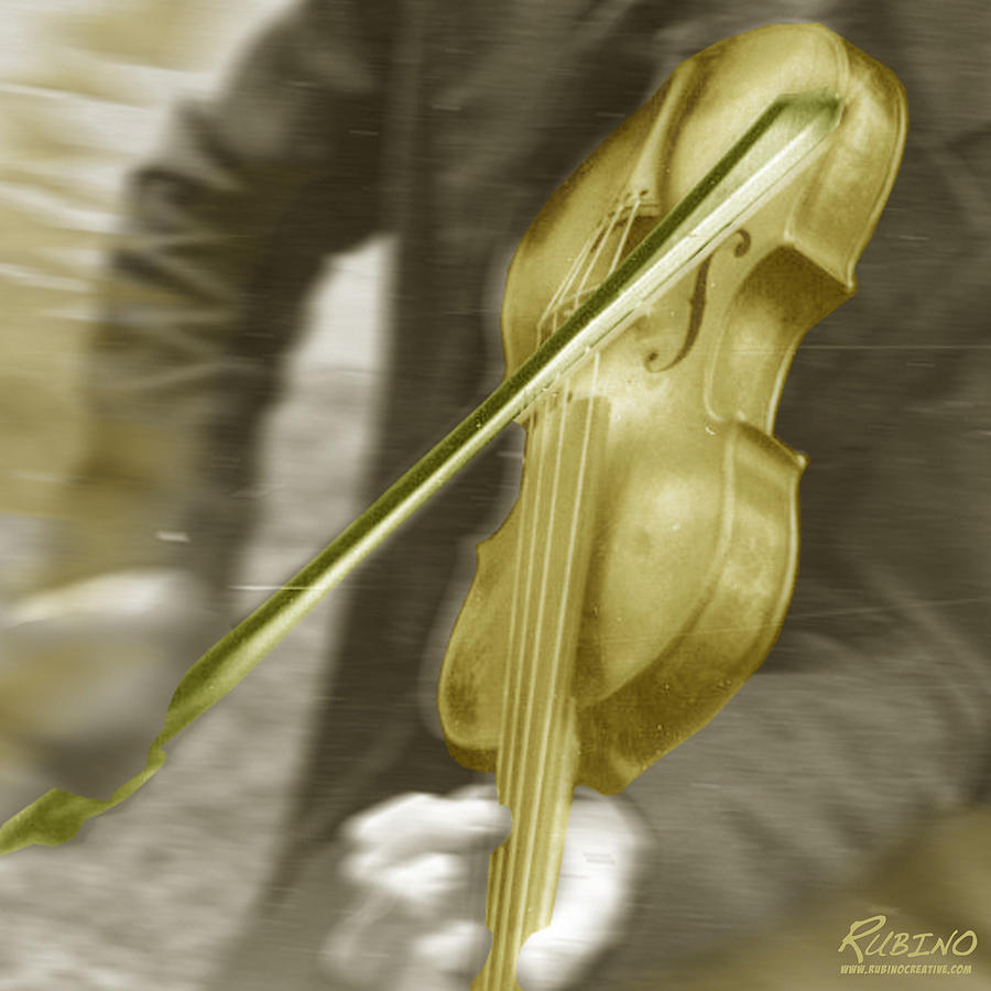 Golden Violin Photograph by Tony Rubino