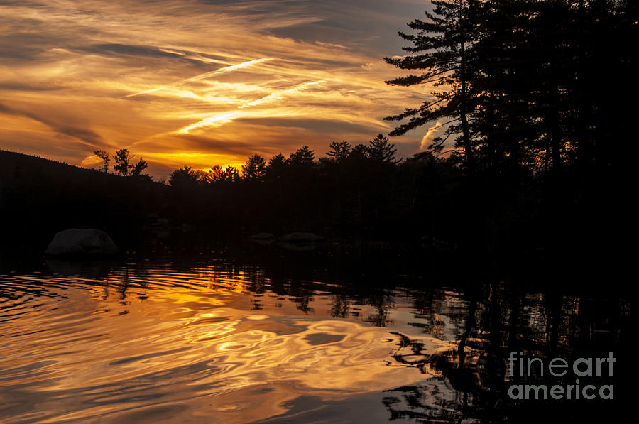 Sunset Photograph - Golden Water by Jane Axman