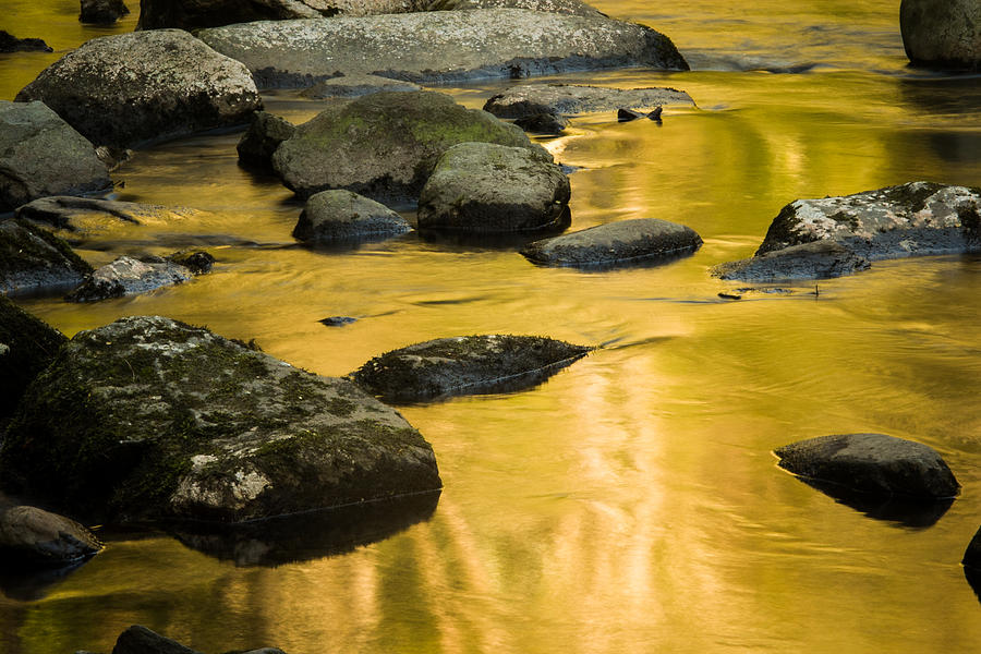 Golden Water Photograph by Jay Stockhaus