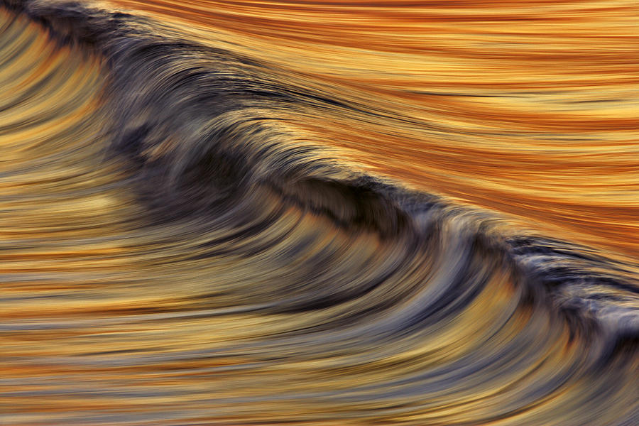 Golden Wave  C6J7800 Photograph by David Orias