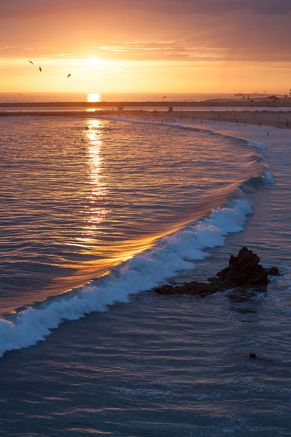 Golden Waves Corona del Mar Photograph by Cliff Wassmann