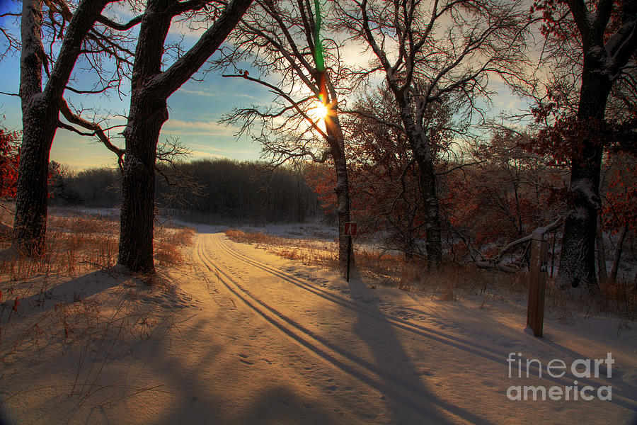 Golden Winter Morning Photograph by Wayne Moran