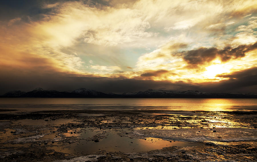 Golden Winter Sunset Photograph by Michele Cornelius