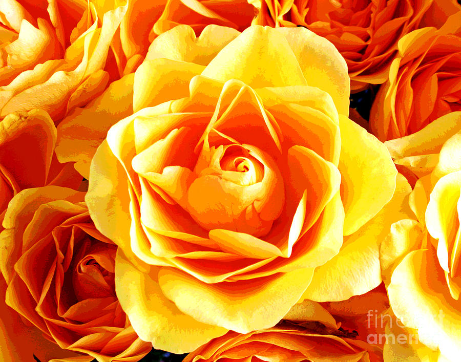 Golden Yellow Roses Photograph by Larry Oskin