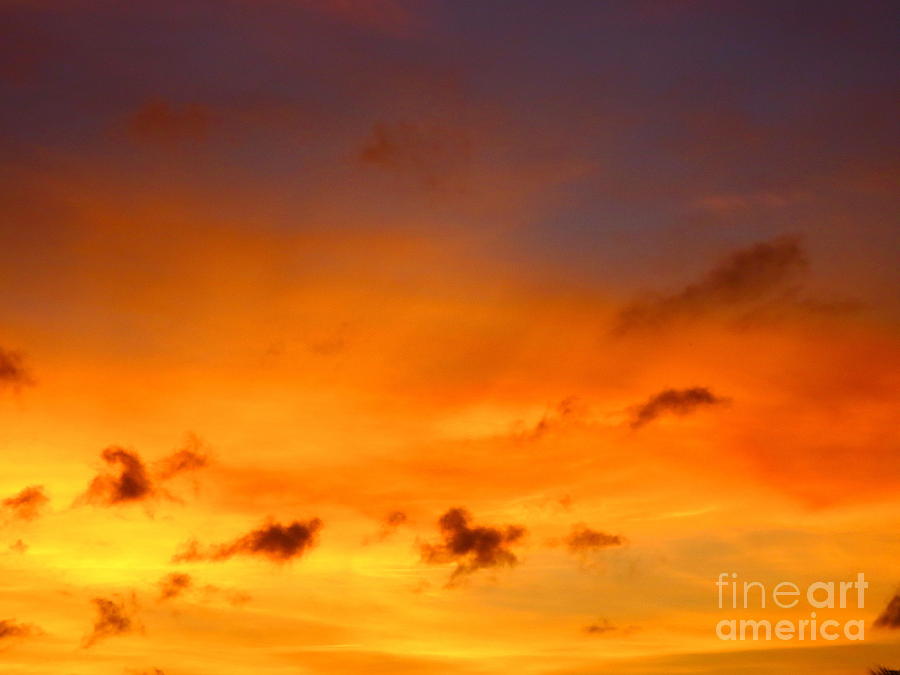 Golden Yellow Velvety Clouds at Sunset. Photograph by Robert Birkenes