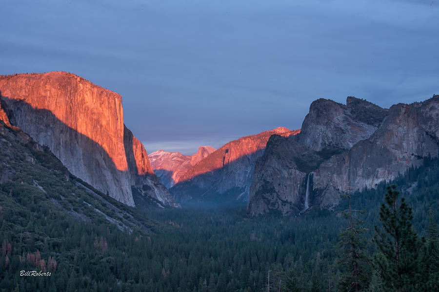 Golden Yosemite Photograph by Bill Roberts