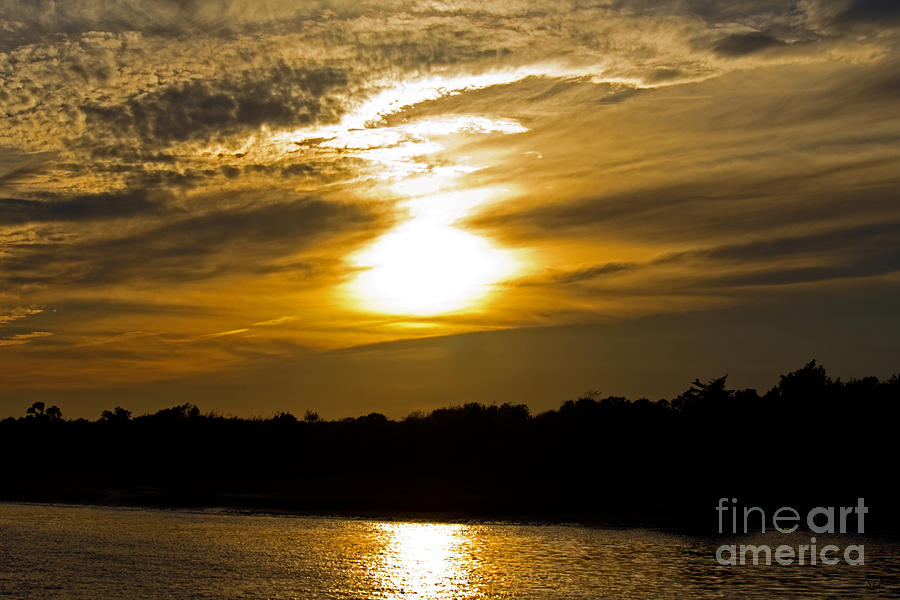 Golden Sunset Photograph by Sandra Clark