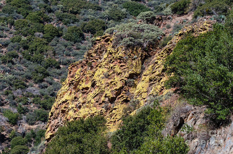 Kings Canyon Photograph - Goldern Rocks  2-7966 by Stephen Parker