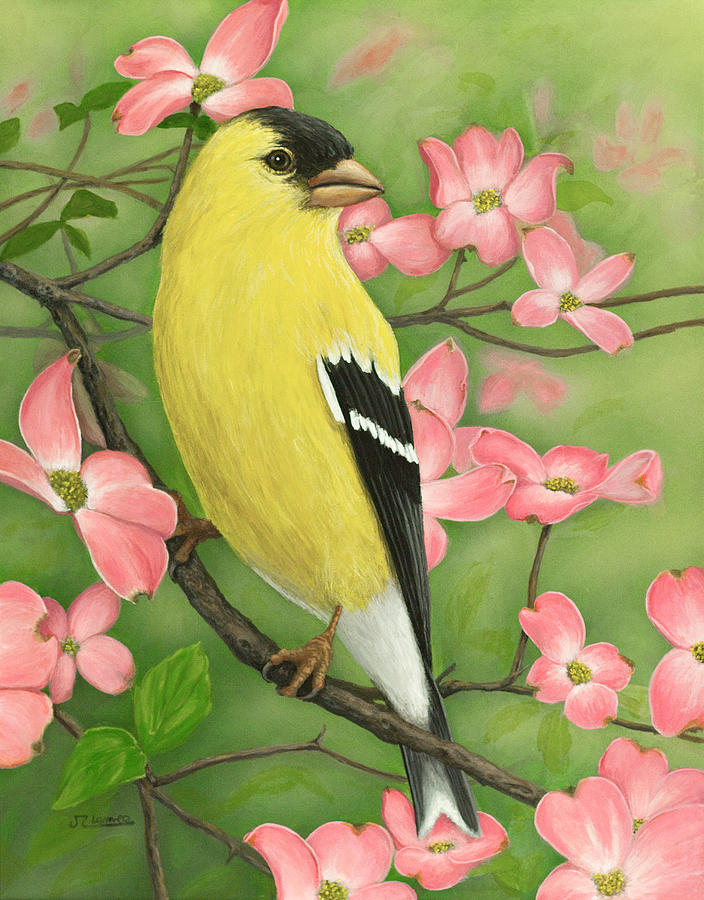 Nature Painting - Goldfinch and Dogwood by Jim Ziemer