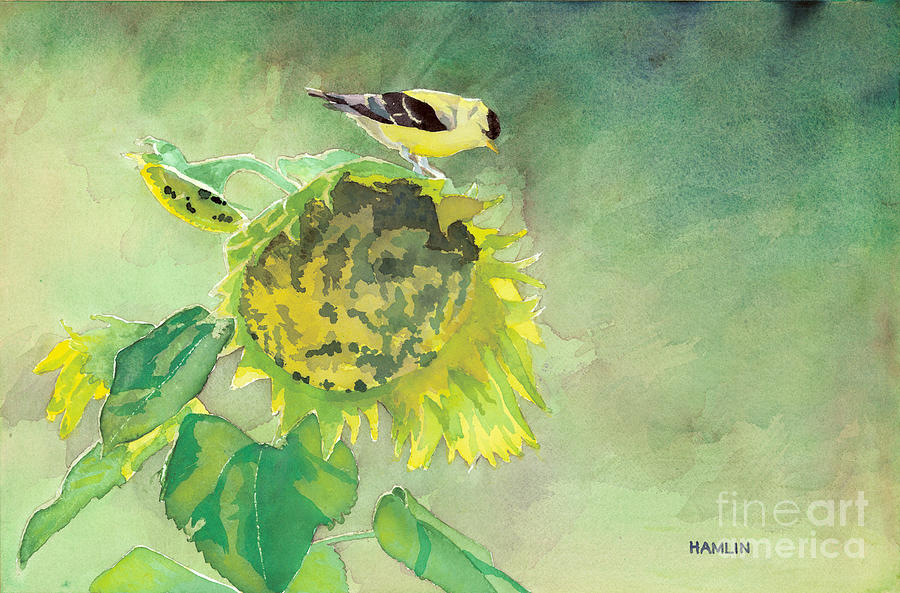 Goldfinch and Sunflowers Painting by Steve Hamlin