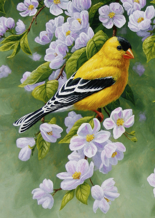 Goldfinch Blossoms Greeting Card 1 Painting by Crista Forest