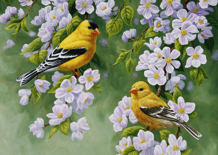 Goldfinch Blossoms Greeting Card 4 Painting by Crista Forest