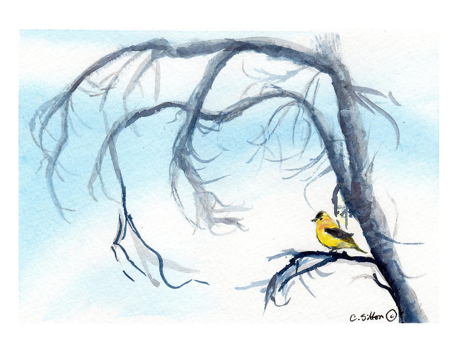 Goldfinch in Tree Painting by C Sitton