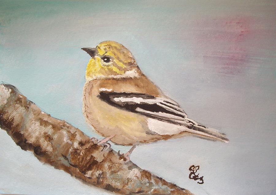 Goldfinch in winter plumage Painting by Carole Robins