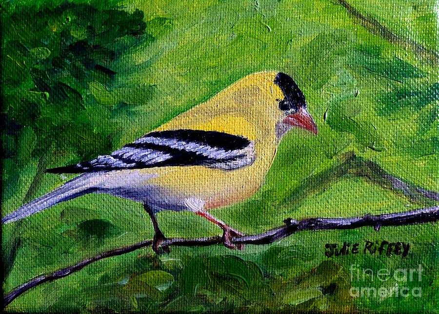 Goldfinch Painting by Julie Brugh Riffey
