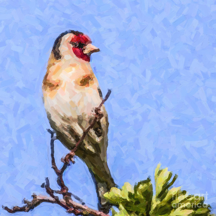 Goldfinch Digital Art by Liz Leyden