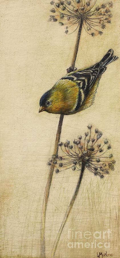 Bird Drawing - Goldfinch by Lori  McNee