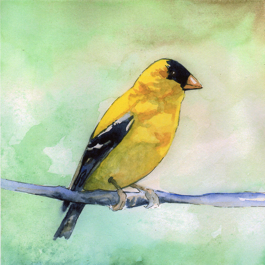 Goldfinch Painting by Sean Parnell