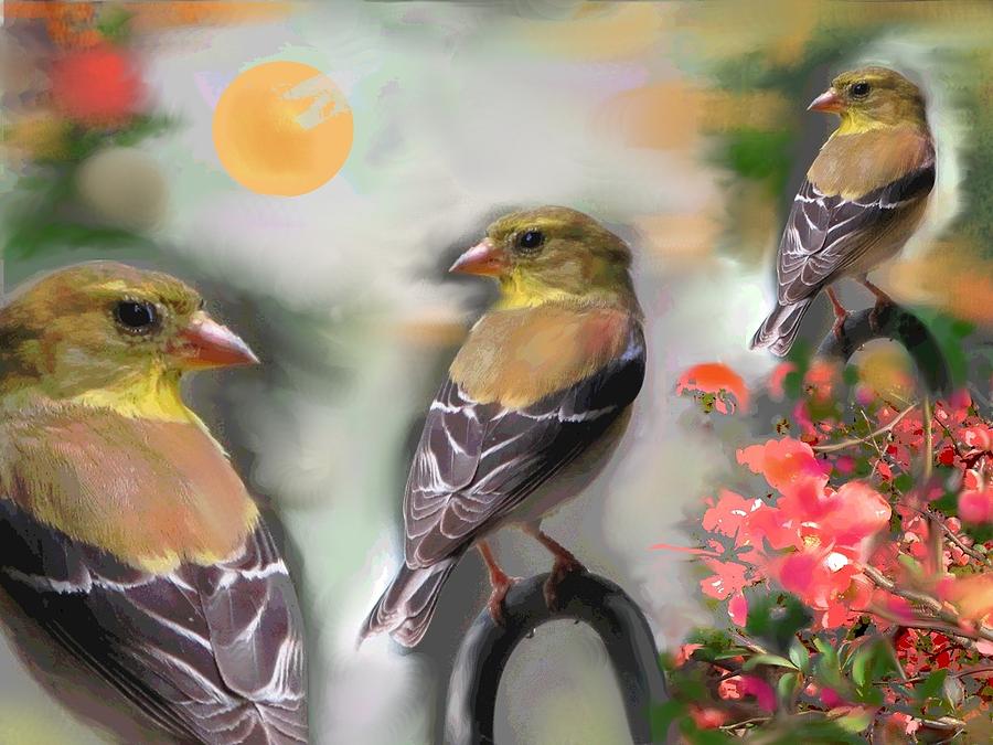 Goldfinch Springtime Digital Art by Mary Armstrong