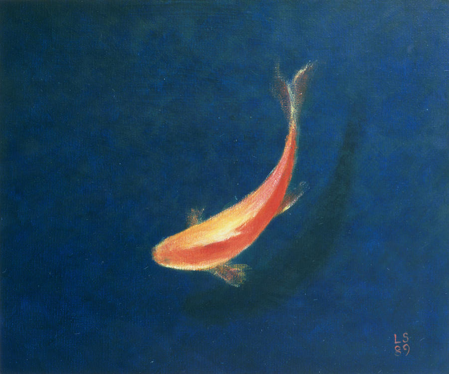 Goldfish Photograph by Lincoln Seligman