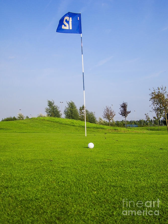 Golf ball near hole  Photograph by Patricia Hofmeester