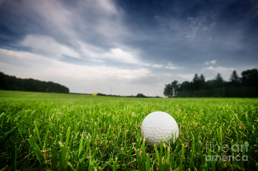 Golf ball on on the field Photograph by Michal Bednarek