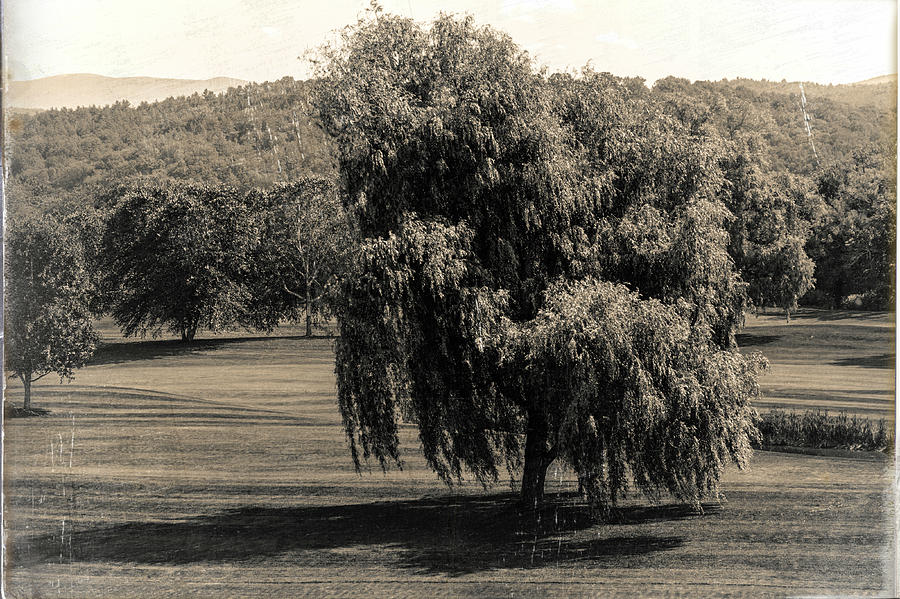 Black And White Photograph - Golf Course Circa 1900 by Sherman Perry