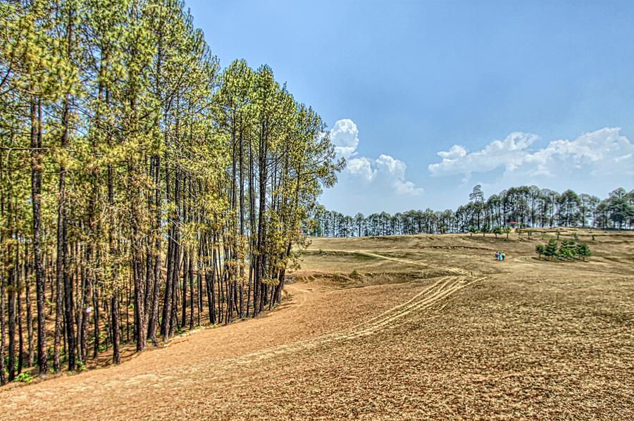 Golf Ground Photograph by © Jayesh Bheda