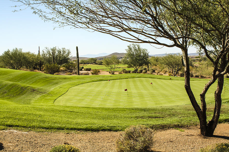 Golfing Arizona Photograph by Fred Larson