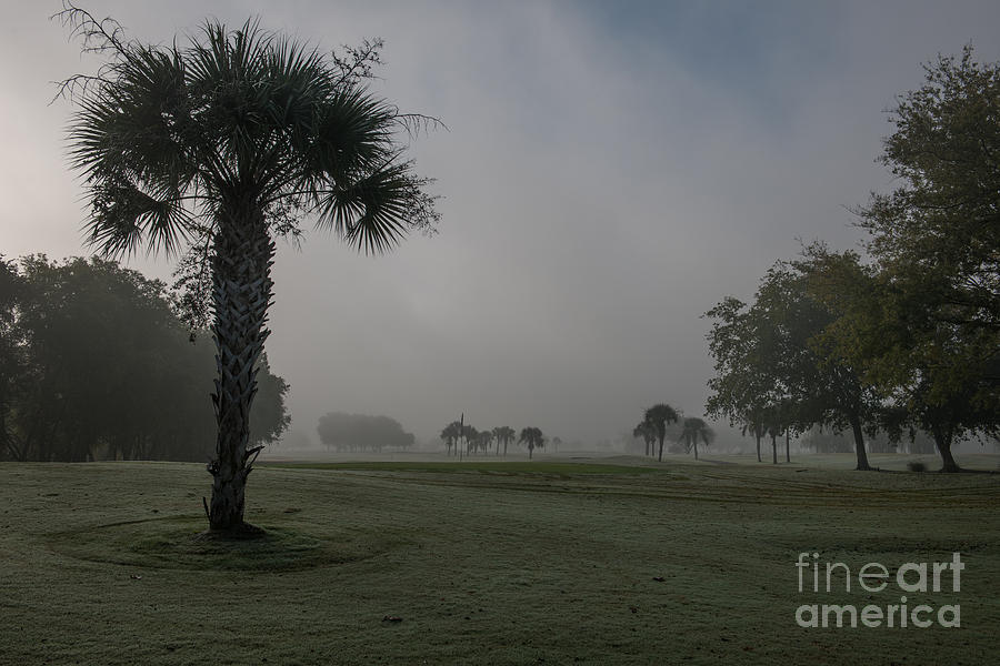 Golfing in the Fog Photograph by Dale Powell