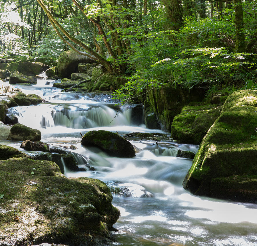 Golitha Falls River Fowey Bodmin Moor Cornwall England Photograph by ...