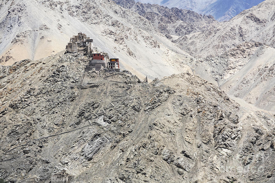 Castle Photograph - Gompa and Fort in Ladakh by Robert Preston