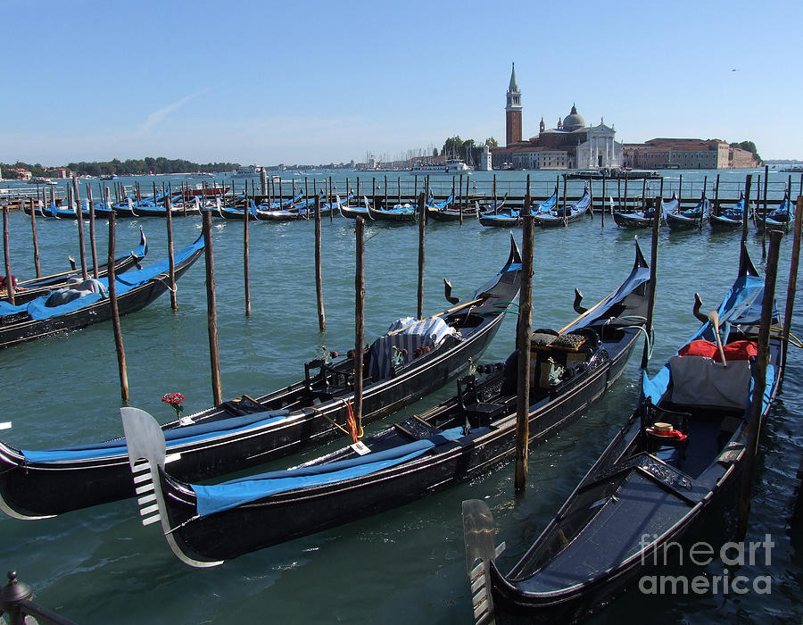 Gondolas - Grand Canal - Venice Photograph by Phil Banks
