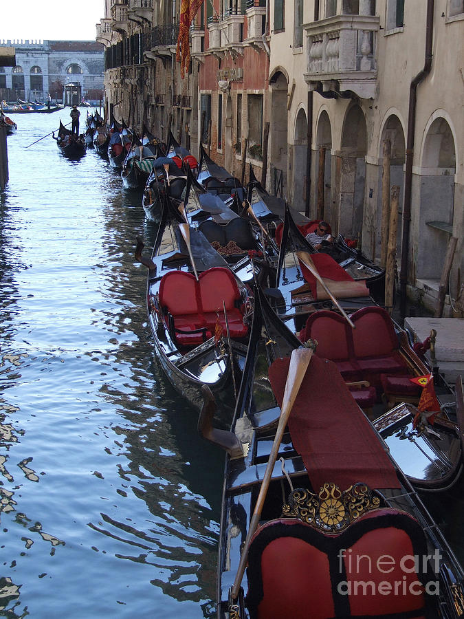 Gondola Moorings - Venice Photograph by Phil Banks