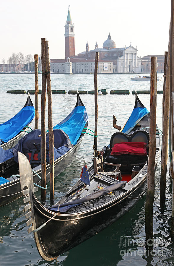 Gondolas in front of the island of San Giorgio Maggiore Venice Photograph by John Keates