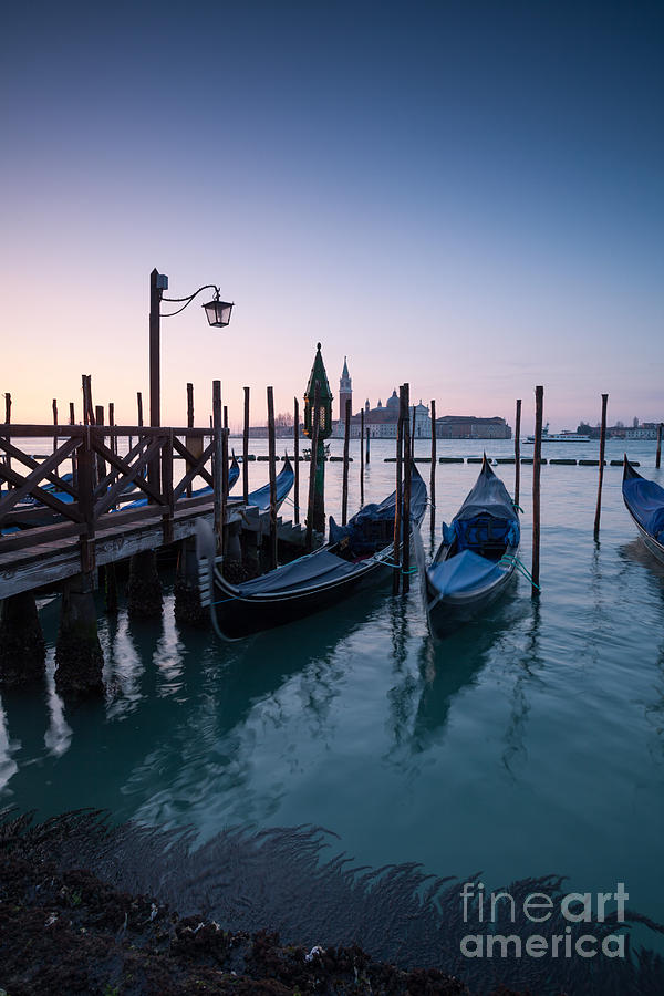 Gondolas in Venice Photograph by Matteo Colombo