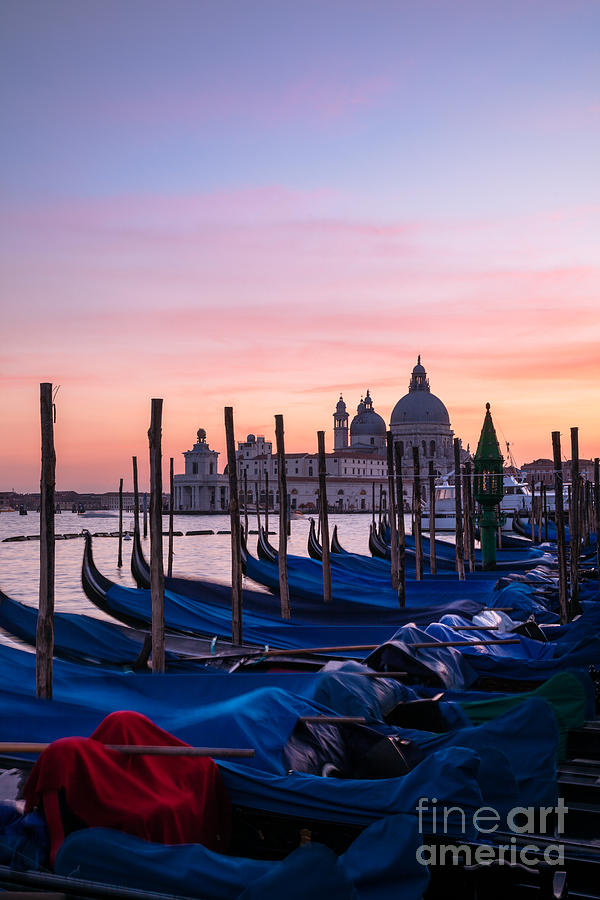 Gondolas moored at sunrise - Venice - Italy Photograph by Matteo Colombo