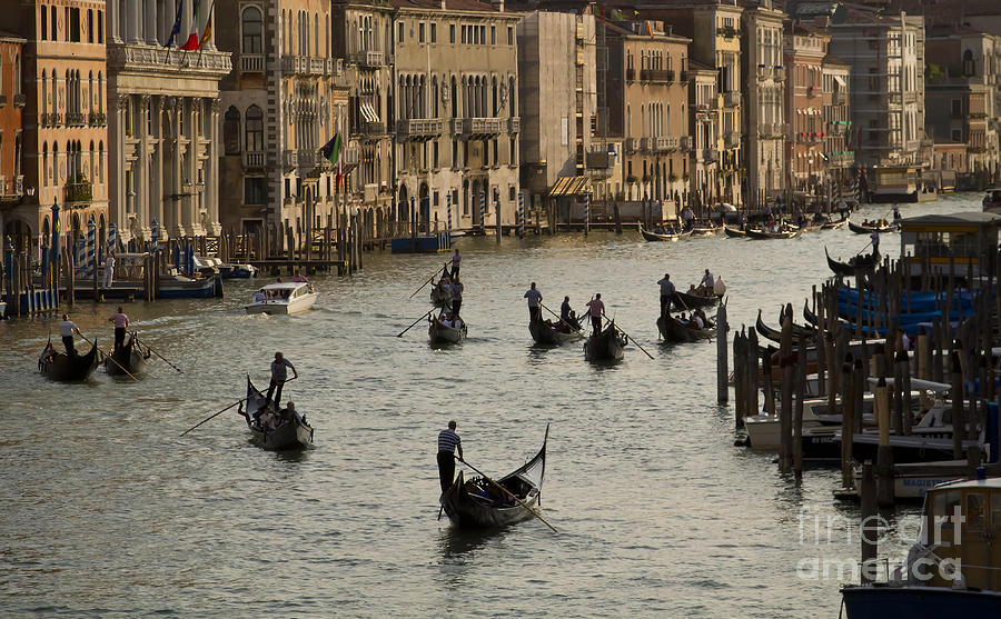 Gondolas on the Grand Canal Photograph by Dennis Hedberg
